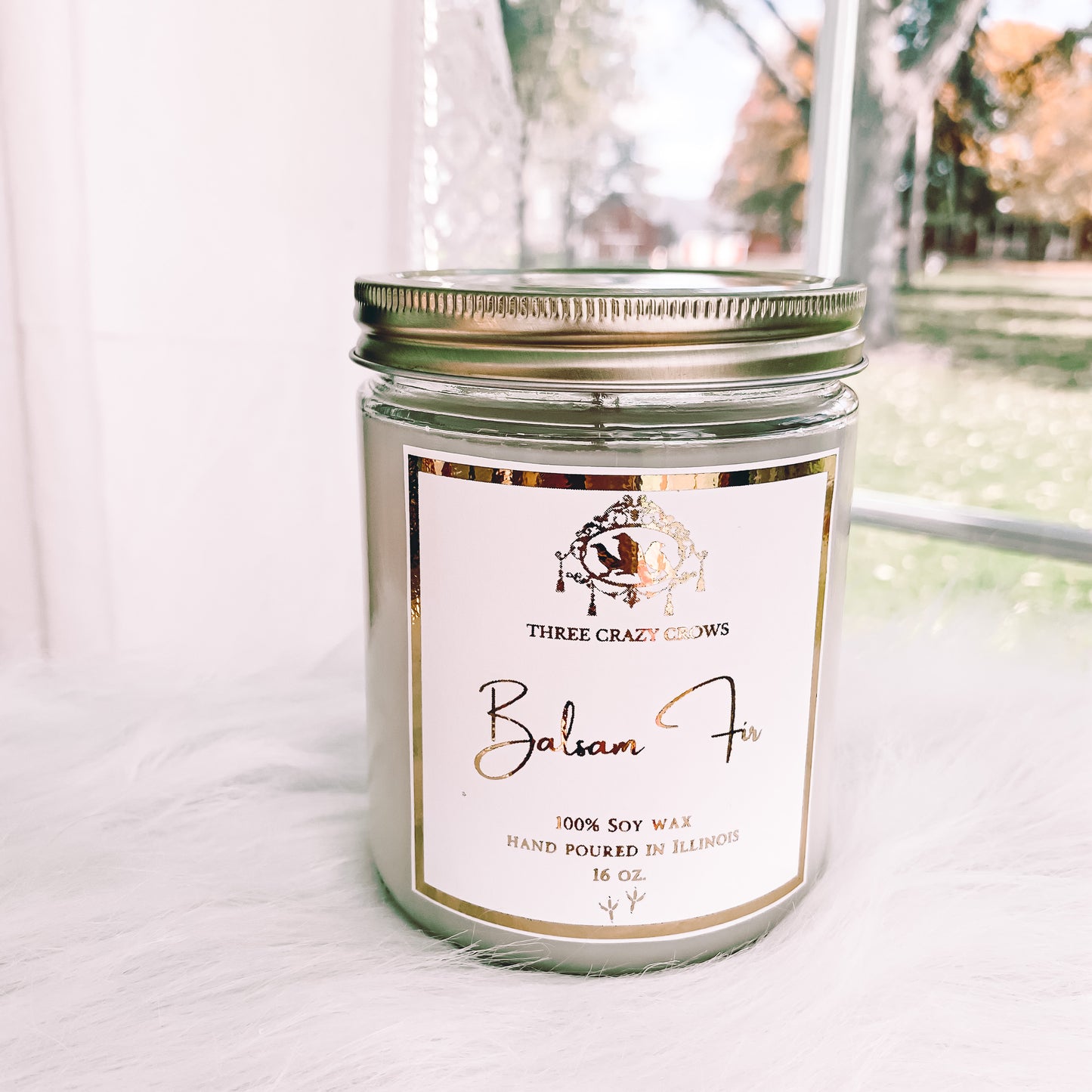 Balsam Fir